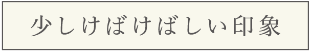 少しけばけばしい印象