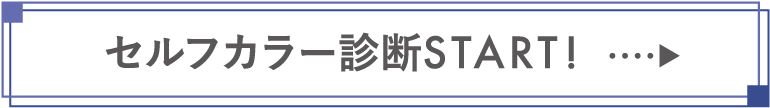 診断ボタン