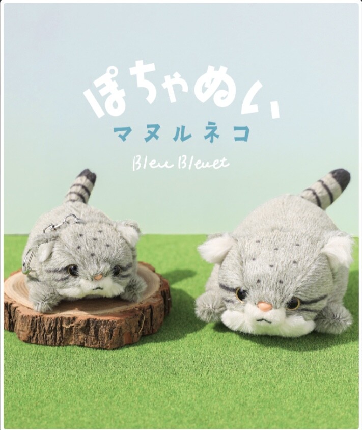 ぽちゃシリーズに新作が入荷しました！☀️｜Bleu Bleuet｜ショップ