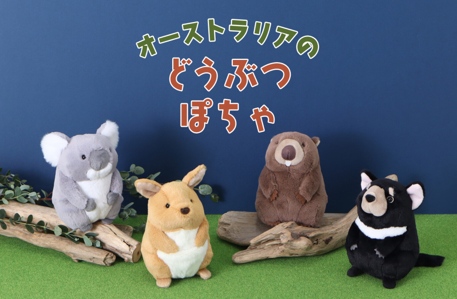 Wild Republicオーストラリアの動物ぬいぐるみ6体セット オーストラリアの動物たちが入荷しました♪｜Bleu Bleuet｜ショップ