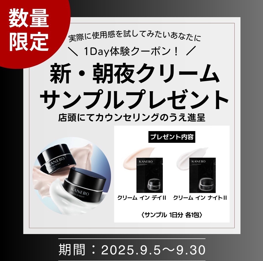 KANebo クリーム イン ナイト ツー 50g CREAM IN NIGHT II