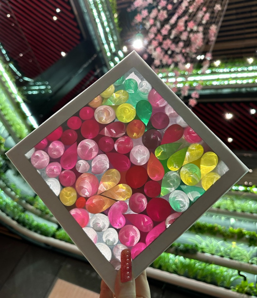 光の箱ワークショップ～せいせきクリスマスウィーク～