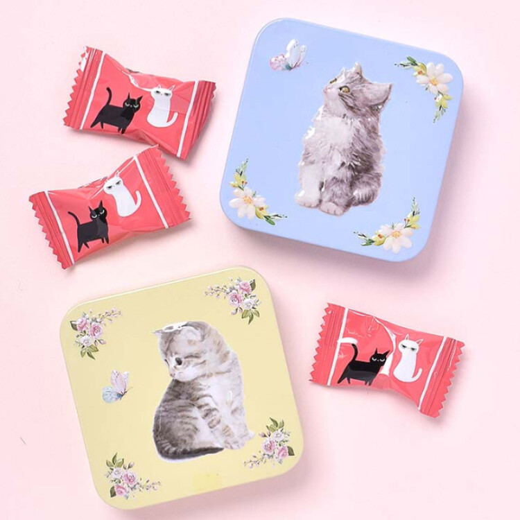 🐈‍⬛キュートな猫のお菓子が入荷しました🐈