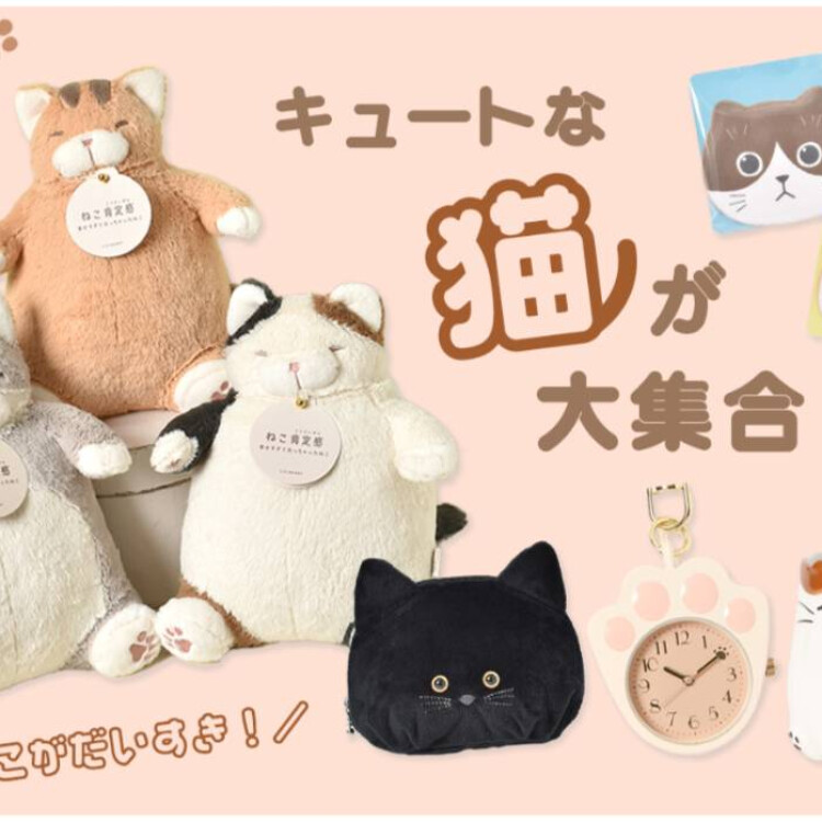 2/22は猫の日🐈‍⬛