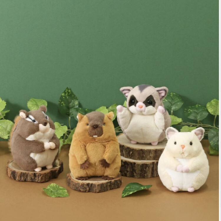 げっ歯類ぽちゃ🐹🐿️