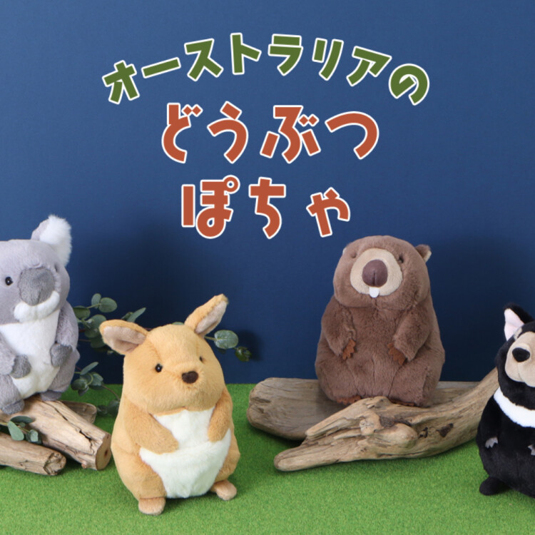 オーストラリアの動物たちが入荷しました♪