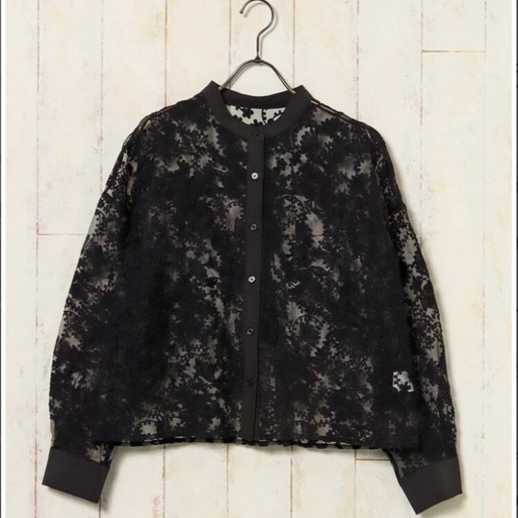 シアーフラワーレースブラウス 🪡