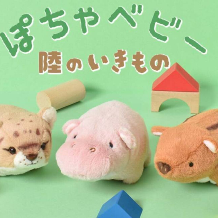 「ぽちゃベビー」から新作登場！