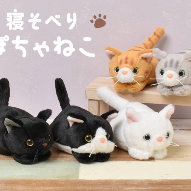 寝そべりぽちゃねこ🐈‍⬛
