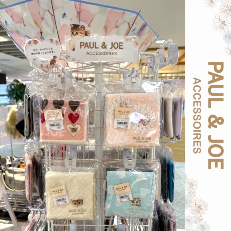 ギフトにもオススメ🎁✨にゃんともカワイイ😻「ポール&ジョー」