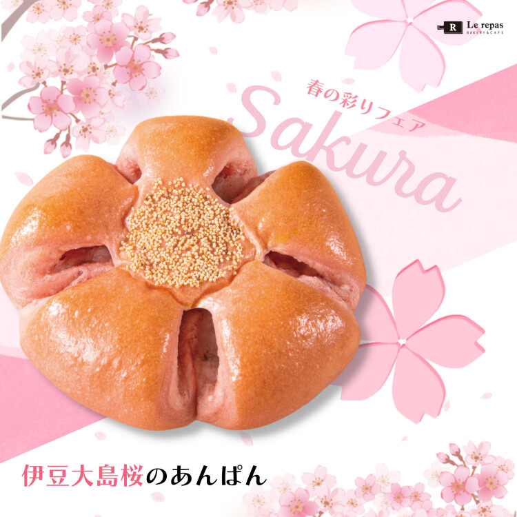 桜の季節にぴったり🌸伊豆大島桜のあんぱん先行発売！