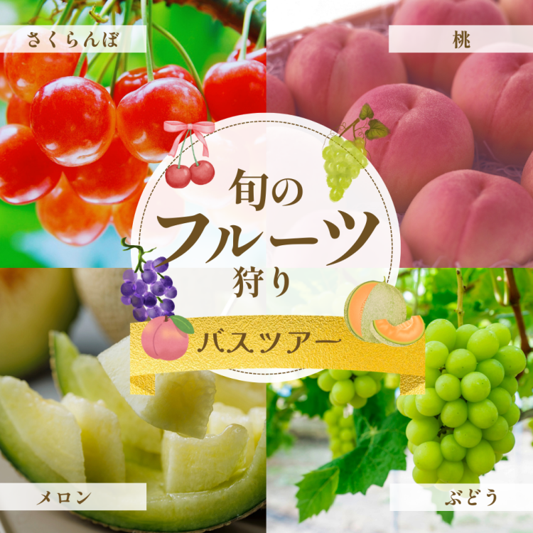 日帰りバス旅♪フルーツ特集