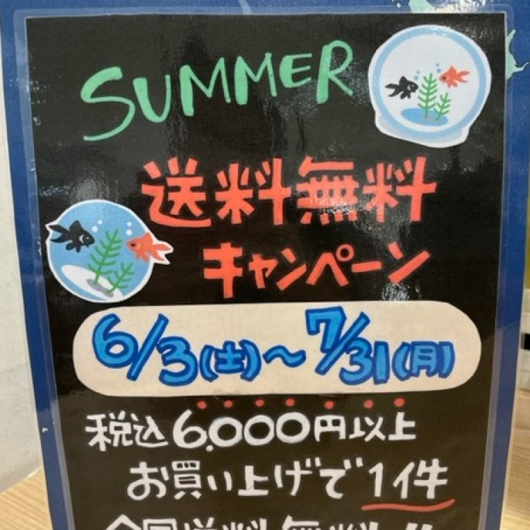 お中元や暑中見舞いに！ ご配送料無料キャンペーンのお知らせ！！