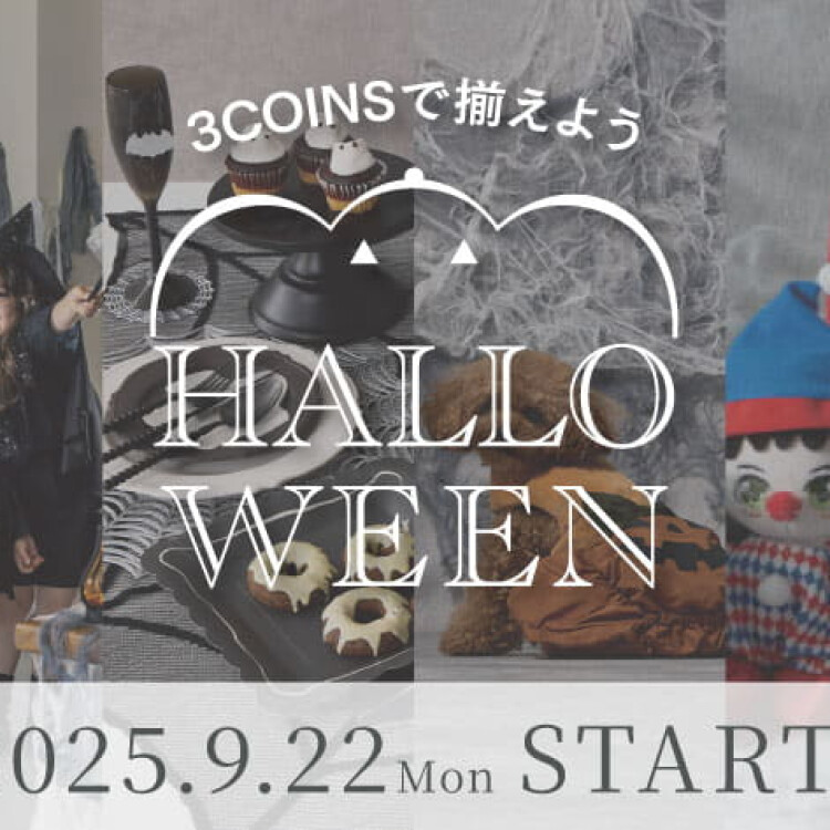 ハロウィンアイテムが入荷しました🎃